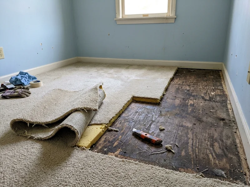 Flooring cut back to expose subfloor contaminated by decomposition fluids